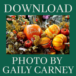 Thanksgiving Photo Download